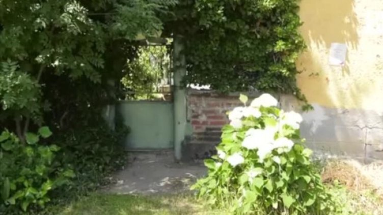 Снимка: Bulgaria ON AIR