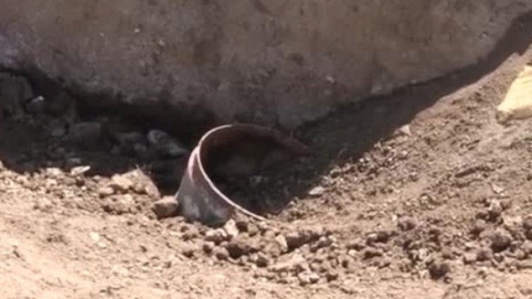 Снимка: Bulgaria ON AIR