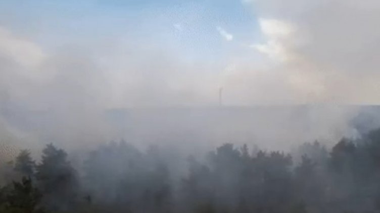 Снимка: Facebook