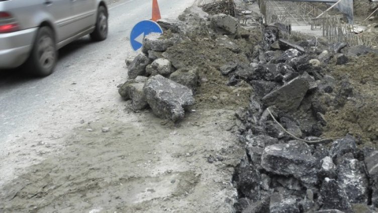 Снимка: БГНЕС, архив