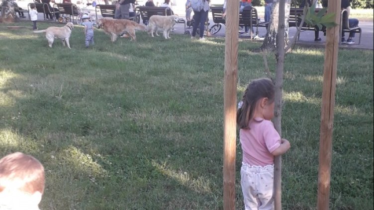 Снимка: Helpbook