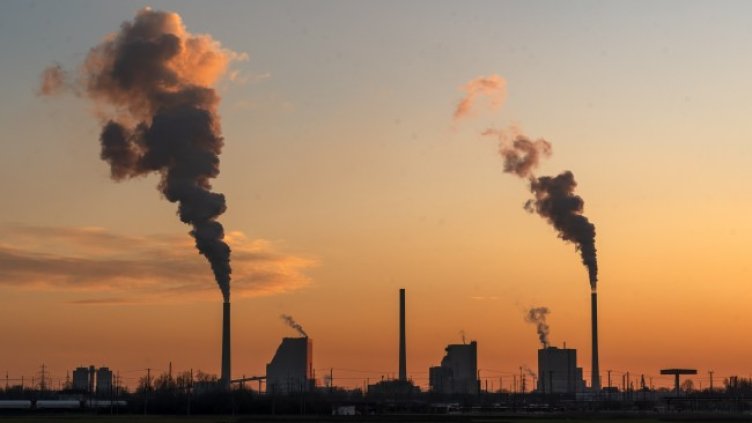 Снимка: БГНЕС