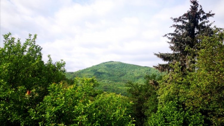 Снимка: архив, БГНЕС