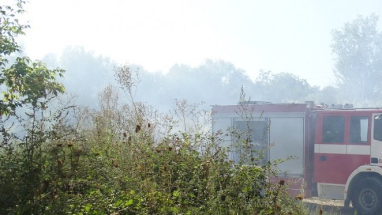 Снимка: БГНЕС, архив