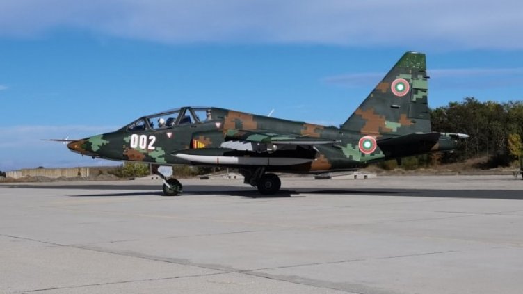 Снимка: архив, БГНЕС