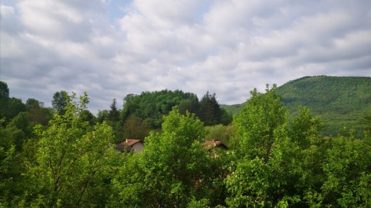 Снимка: архив, БГНЕС