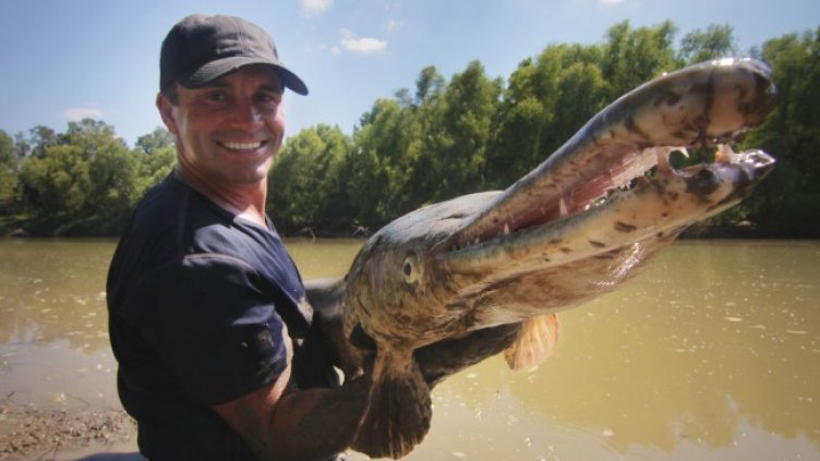 Снимка: Viasat Explore