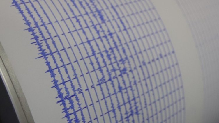 Снимка: архив, БГНЕС