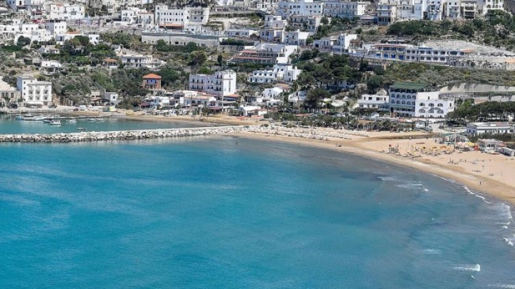 Снимка: архив, БГНЕС