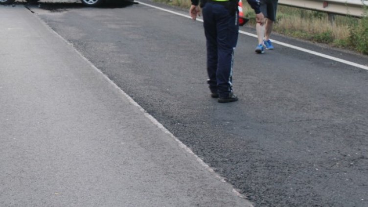 Снимка: БГНЕС, архив