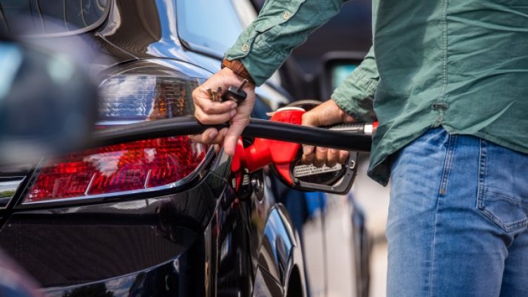 Снимка: архив, БГНЕС