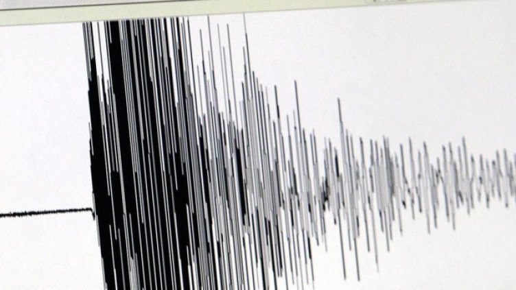 Снимка: архив, БГНЕС