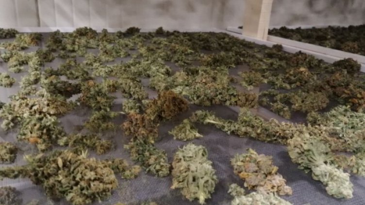 Снимка: БГНЕС, архив