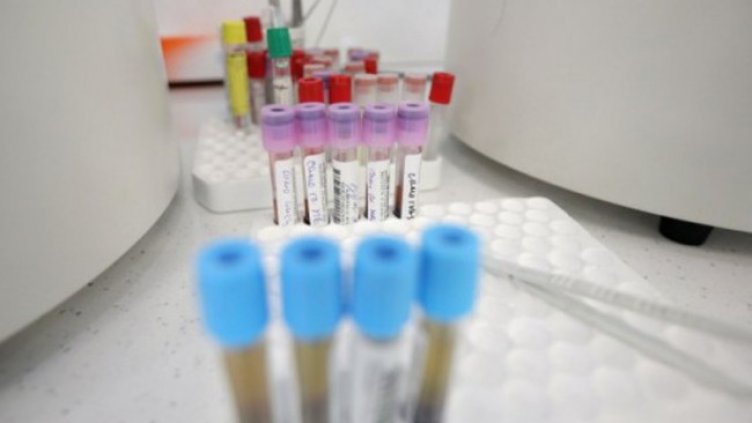 Снимка: Димитър Кьосемарлиев