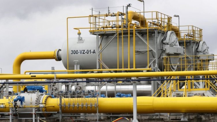 Снимка: архив, БГНЕС