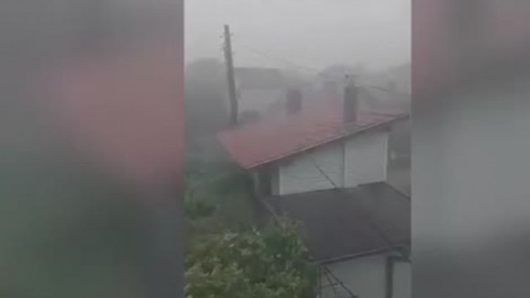 Снимка: Bulgaria ON AIR