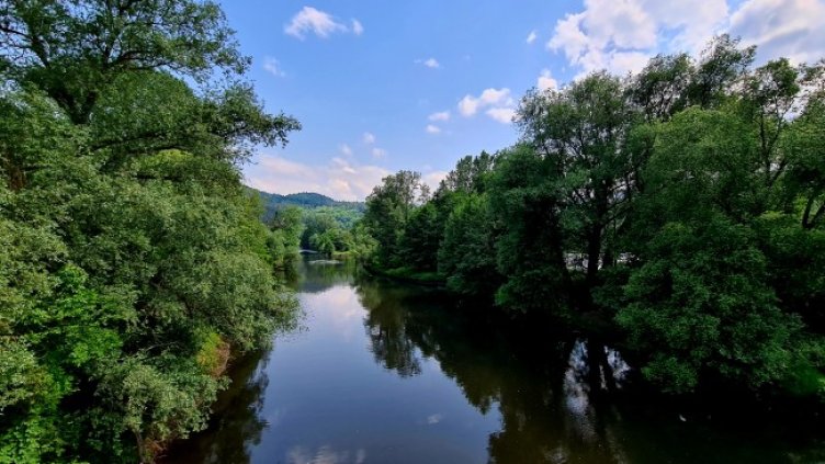 Снимка: архив, БГНЕС