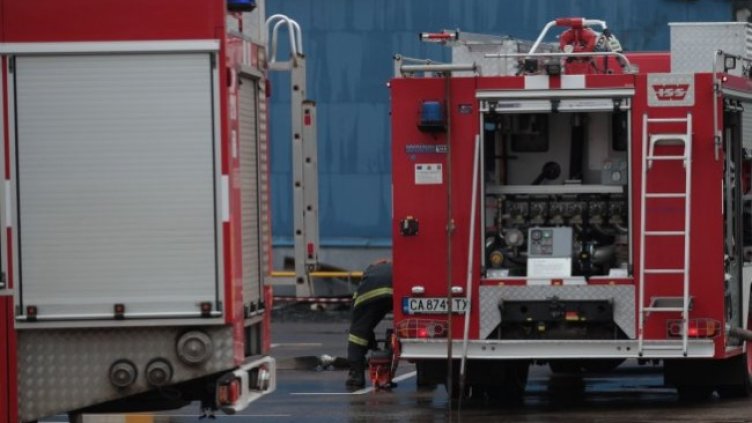 Снимка: Димитър Кьосемарлиев, Dnes.bg