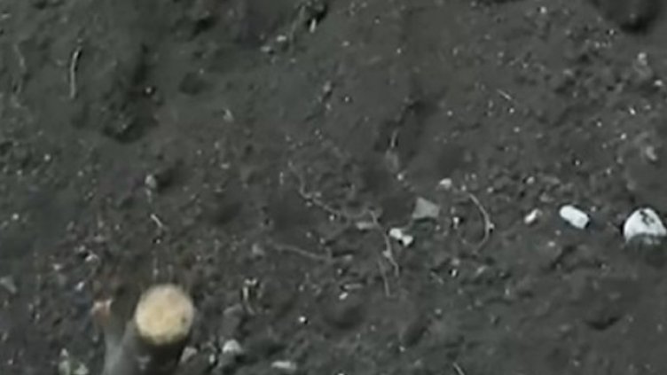 Снимка: Кадър, Нова тв