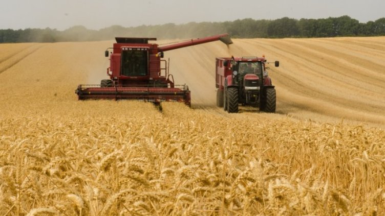 Снимка: Pixabay