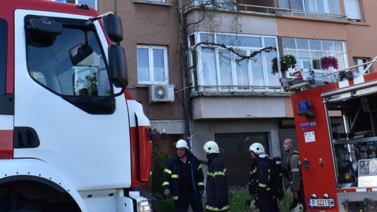 Снимка: БГНЕС