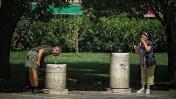 Снимка: Димитър Кьосемарлиев, Dnes.bg