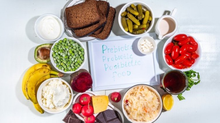 Диария на пътешественика