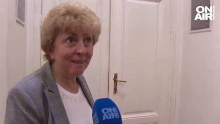 Виктория Василева от ИТН напуска Народното събрание
