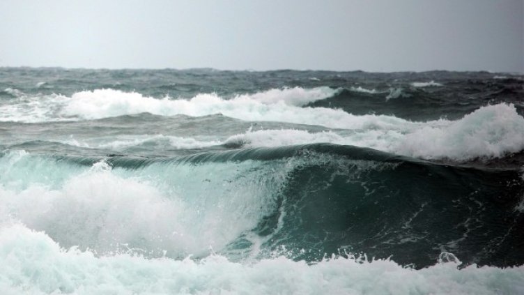 Снимка: Pixabay