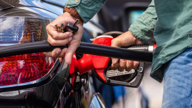 Снимка: архив, БГНЕС