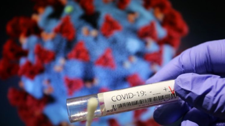 Снимка: архив, БГНЕС