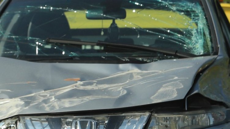 Снимка: архив, БГНЕС