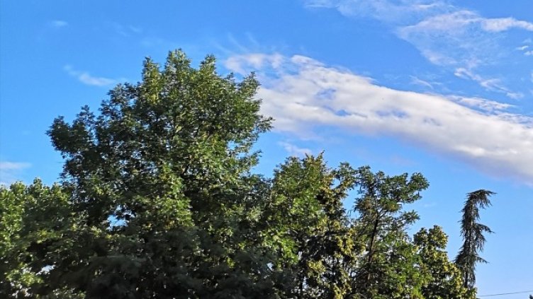 Снимка: Bulgaria ON AIR