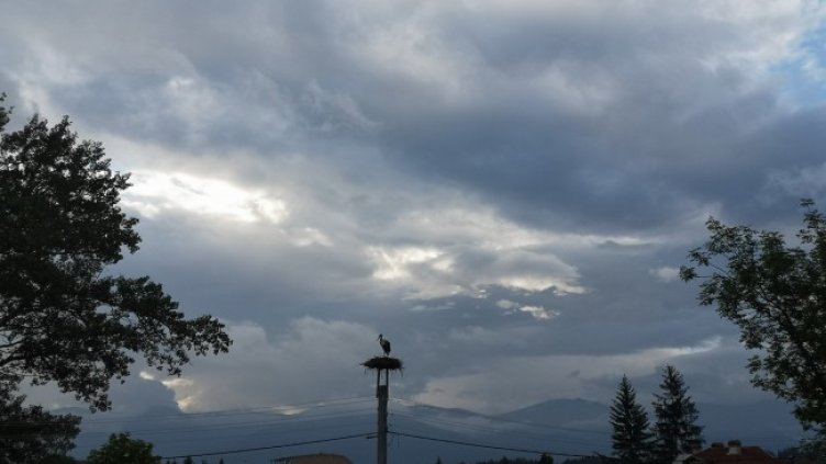 Снимка: БГНЕС