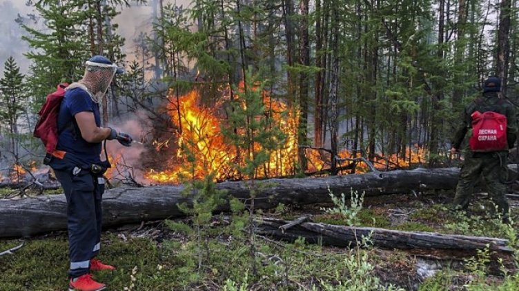 Снимка: архив, БГНЕС