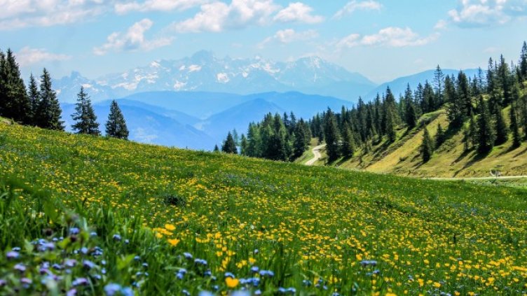 Снимка: Pixabay