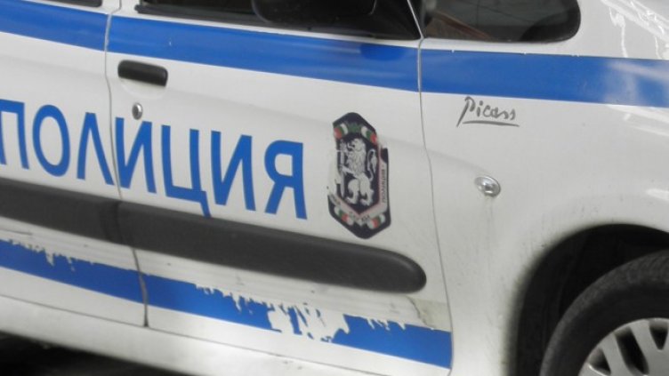 Снимка: архив, БГНЕС