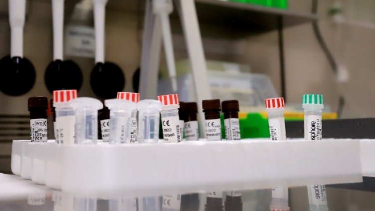 Снимка: БГНЕС