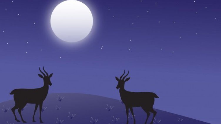 Снимка: Pixabay/aslamparvej2