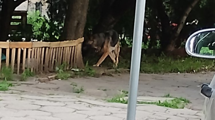 Снимка: HelpBook.info!