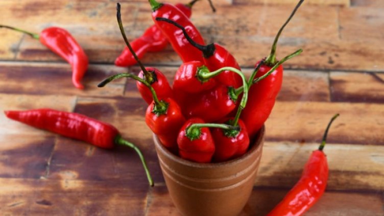 Снимка: Istock