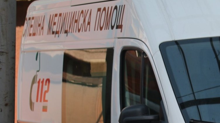 Снимка: архив, БГНЕС