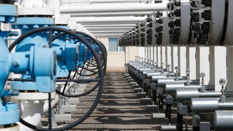 Снимка: архив, БГНЕС