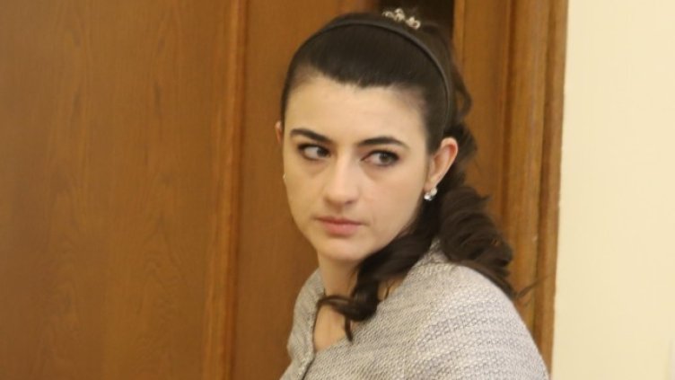 Снимка: архив, БГНЕС