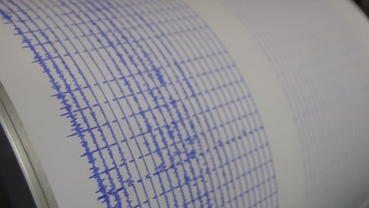 Снимка: архив, БГНЕС