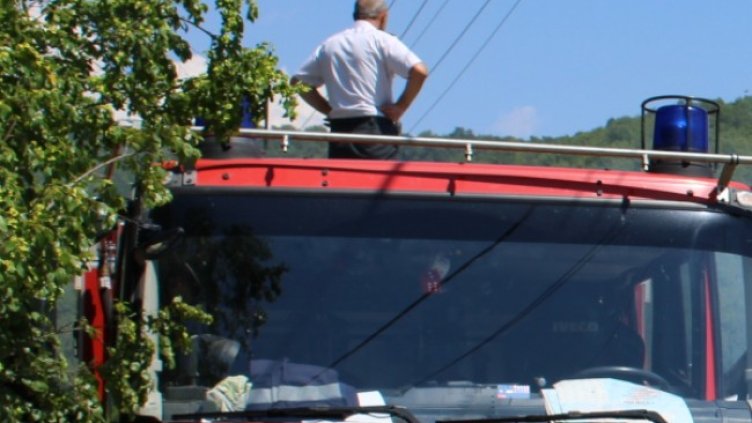 Снимка: БГНЕС