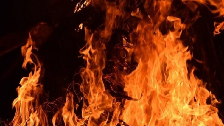 Снимка: Pixabay