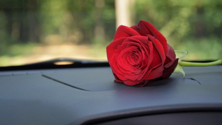 Снимка: Pixabay