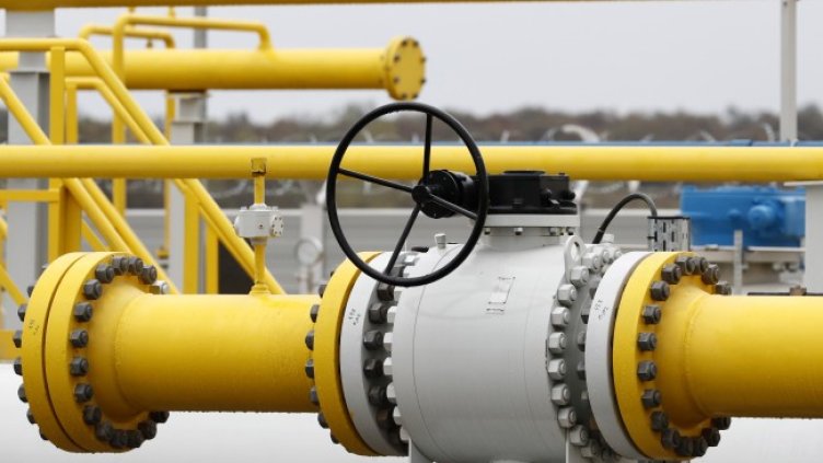 Снимка: архив, БГНЕС