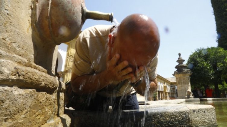 Снимка: архив, БГНЕС